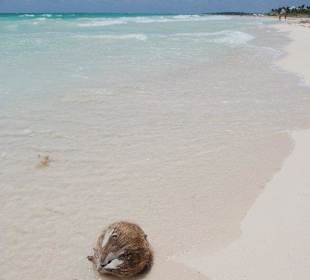 Strand ca. 1/2 Std. zu Fuß rechts vom Hotel