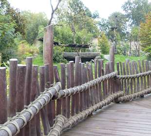 Abwechslungsreiche Wege