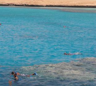 Schnorcheln mit den Piraten