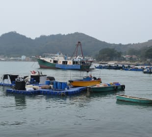 Fischerdorf Tai O