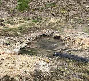 Yellowstone Yellowstone NationalparkNationalpark