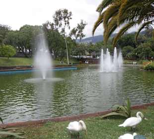 Parque de Santa Catarina
