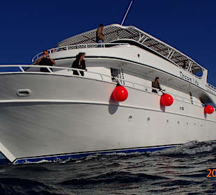 Das neue Boot womit es zu den Delphinen geht