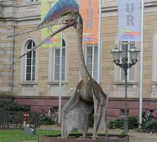 Beim Staatlichen Museum für Naturkunde Karlsruhe
