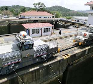 2 Mulis hintereinander