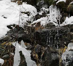 Wandern Holzgau