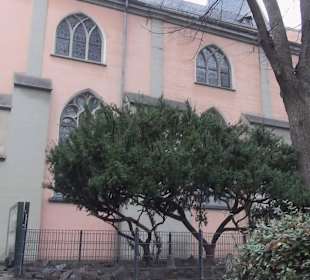 St. Maria in Lyskirchen