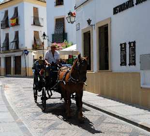 Paseo por la judería y patios de Córdoba