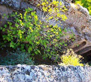 Sulahikulle - Vergessene Stadt