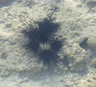 Фото с пирса