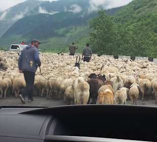 Gruzińska Droga Wojenna