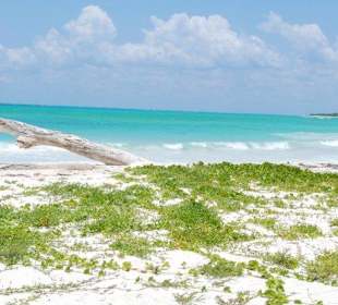 Strand ca. 1/2 Std. zu Fuß rechts vom Hotel
