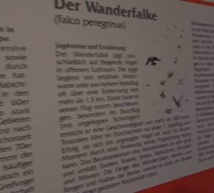 Museum Rosenburg