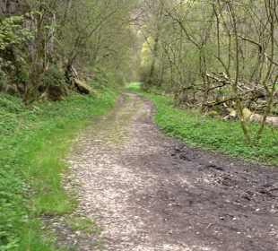 Burgfelsenpfad