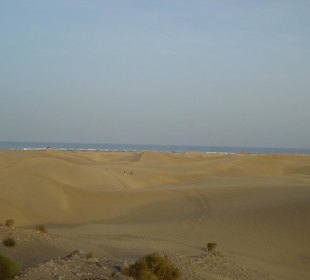 Die Dünen von Maspalomas
