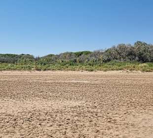Blick über dem Strand