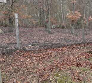 Wildpark Eichert