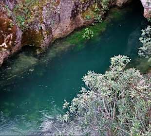 Blick auf den Quelltopf