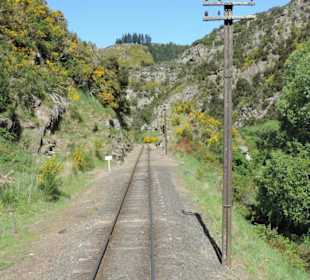 Mit der Taieri Railway durch die Natur Neuselands
