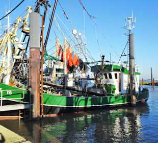 Eindrücke aus dem Hafen Ditzum