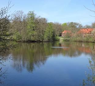 Impressionen vom Weg um den Hasportsee