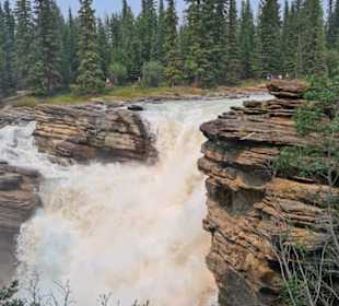 Athabasca Fälle