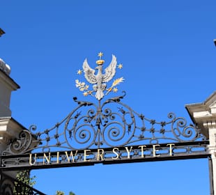 Stare miasto, rynek starego miasta