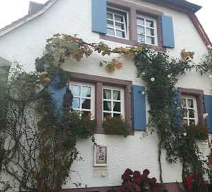 Rhodt unter Rietburg