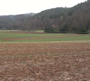 Unterjesinger Wengertwegle