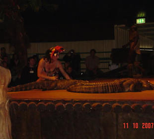 Krokodile Diana Show