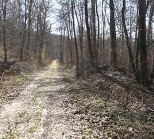 Geschichtlicher Lehrpfad Einsiedel