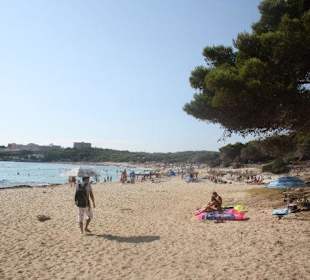 Cala Agulla - Strand