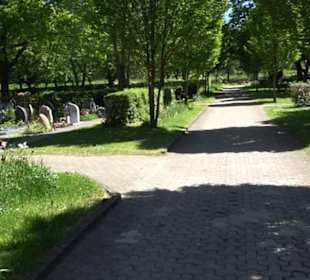 Friedhof Gönningen
