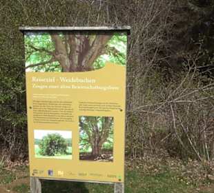 Naturreservat Beutenlay