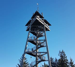 Wandern Freiburg im Breisgau