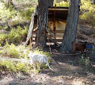 Tour & Ausflug in Alanya