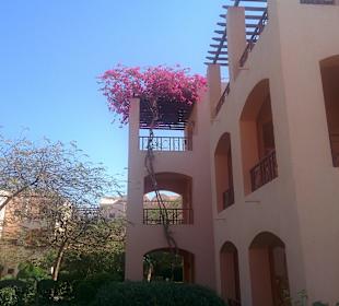 Madinat Garten