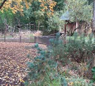 Tierpark