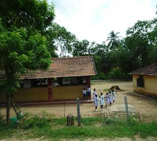 Elefantenreiten Sigiriya