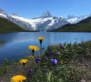 Bachalpsee