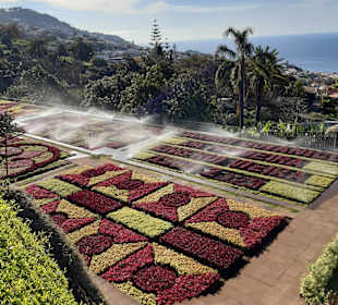 Botanischer Garten Funchal