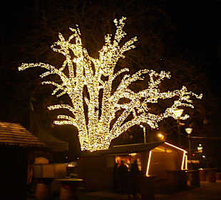 Weihnachtsmarkt Meran