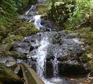 Khao Sok Nationalpark