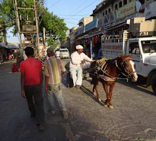 Pferd und Auto sieht man oft
