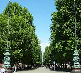 Flankiermeile in der Neustadt