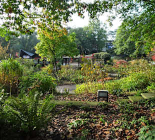 Rundgang durch das herbstliche "Planten un Blomen"