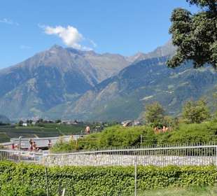 Liegewiese mit Aussicht