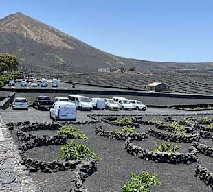 Wandern Puerto del Carmen