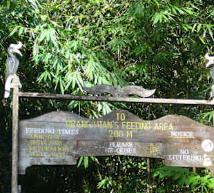 Eingang zur Fütterungs-Plattform