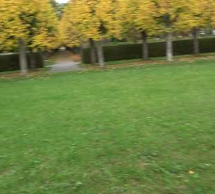 Hauptfriedhof Friedrichshafen